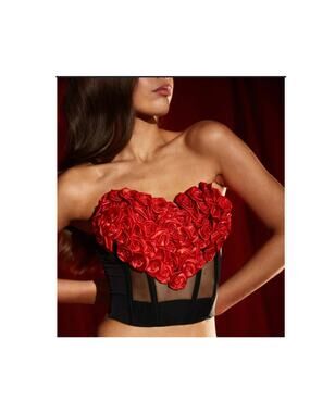 NWT Victoria's Secret Archives Rosette Corset Top M DD